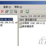 dhcp服务器是什么,局域网中IP地址自动分配与管理的核心协议