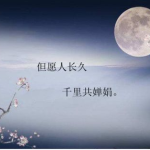 关于中秋佳节的古诗词,古诗词中的中秋佳节