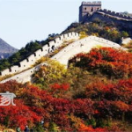 八达岭国家森林公园,八达岭国家森林公园生态之旅”