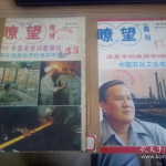 了望杂志,望杂志深度解读